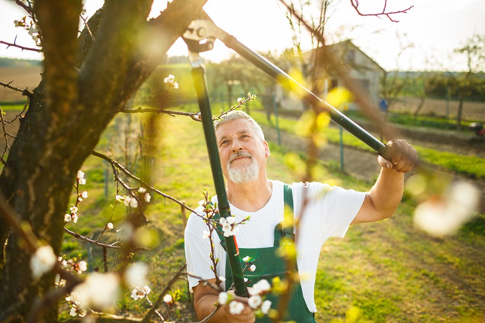 Reibungsloser Ablauf mit Ihrem Hausmeisterdienst Pflege für Ihren Garten